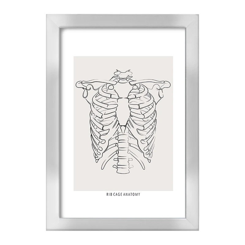 تابلو خندالو طرح آناتومی قفسه سینه (Rib Cage Anatomy) کد F13920