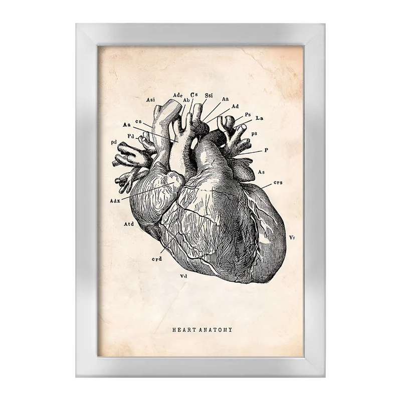 تابلو خندالو طرح آناتومی قلب (Heart Anatomy) کد F13942