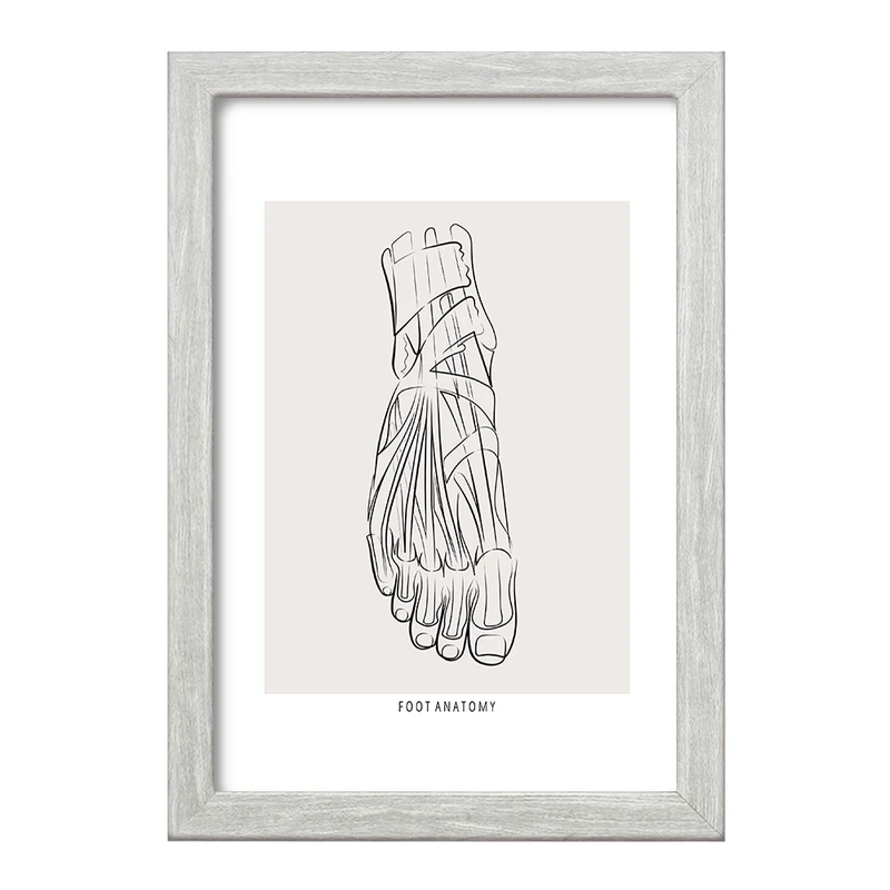 تابلو خندالو طرح آناتومی پا (Foot Anatomy) کد F13924