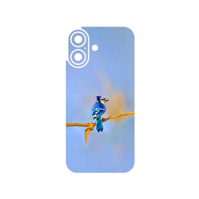 برچسب پوششی ماهوت مدل Cyanocitta cristata مناسب برای گوشی موبایل اپل iPhone 17
