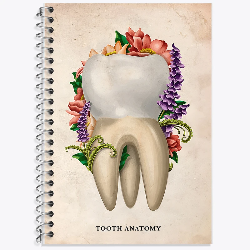 دفتر زبان دوخط 50 برگ خندالو طرح آناتومی دندان (Tooth Anatomy) کد F13980