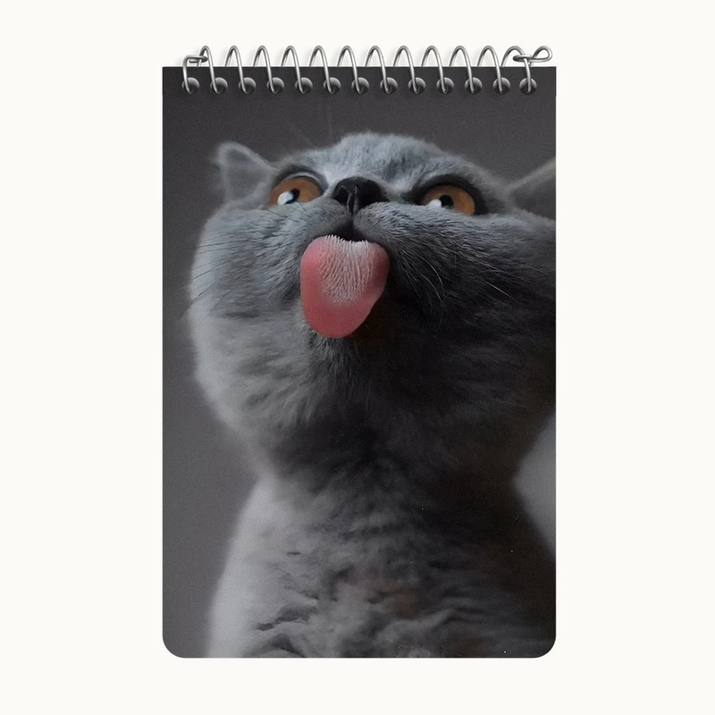 دفتر یادداشت 50 برگ خندالو طرح گربه کد F10727