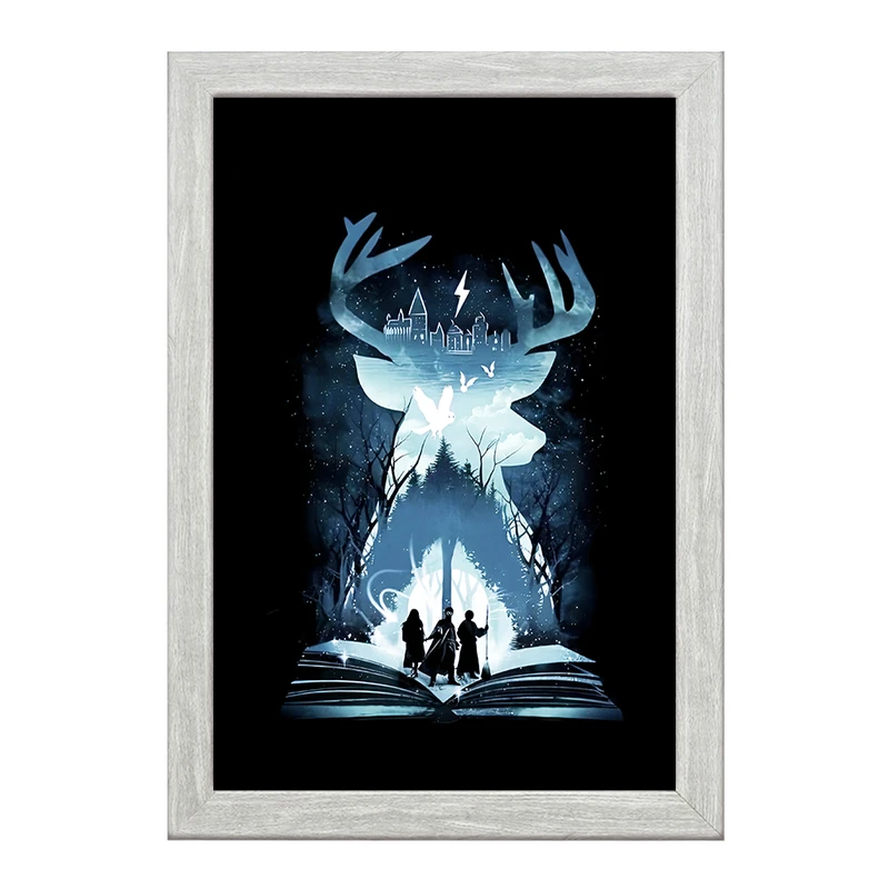 تابلو خندالو طرح هری پاتر (Harry Potter) کد F4448