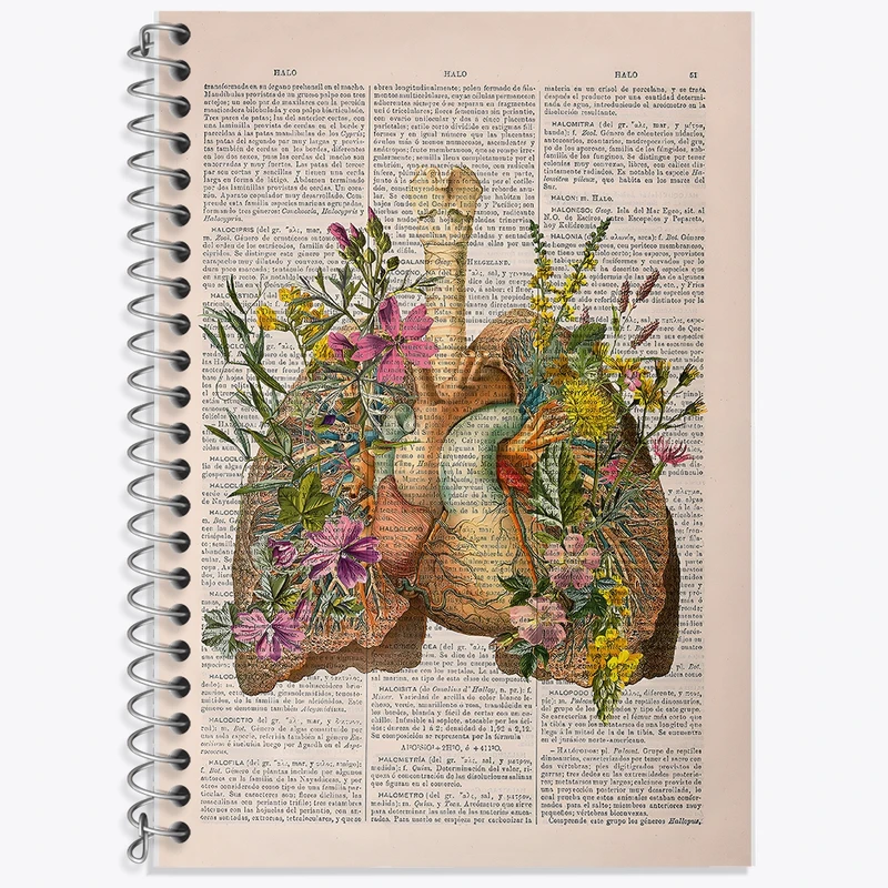 دفتر زبان 50 برگ خندالو مدل سه خط طرح آناتومی ریه ها (Lungs Anatomy) کد F14040