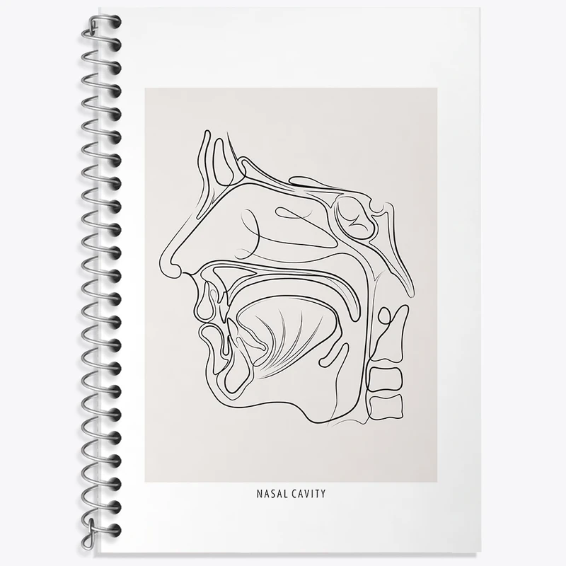 دفتر زبان 50 برگ خندالو مدل سه خط طرح حفره بینی (Nasal Cavity) کد F13931