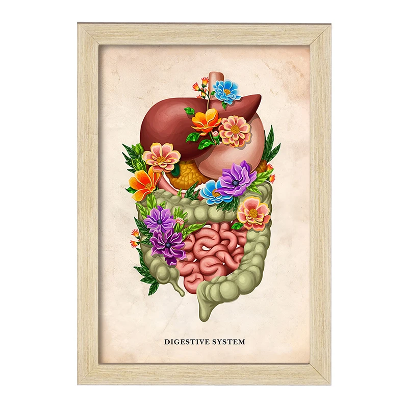 تابلو خندالو طرح سیستم گوارش (Digestive System) کد F13971