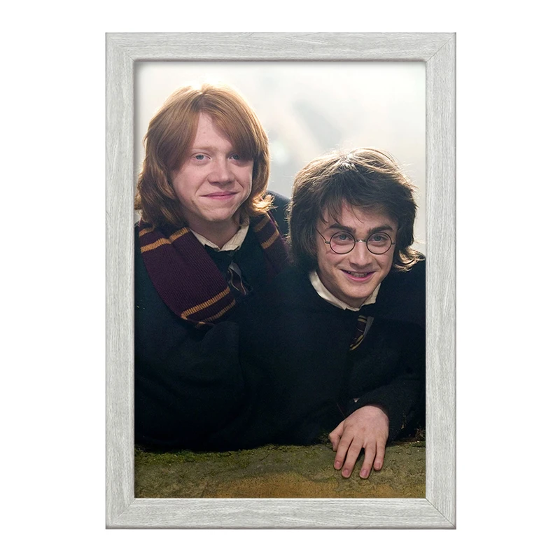 تابلو خندالو طرح هری و رون هری پاتر Harry Potter  کد 19350