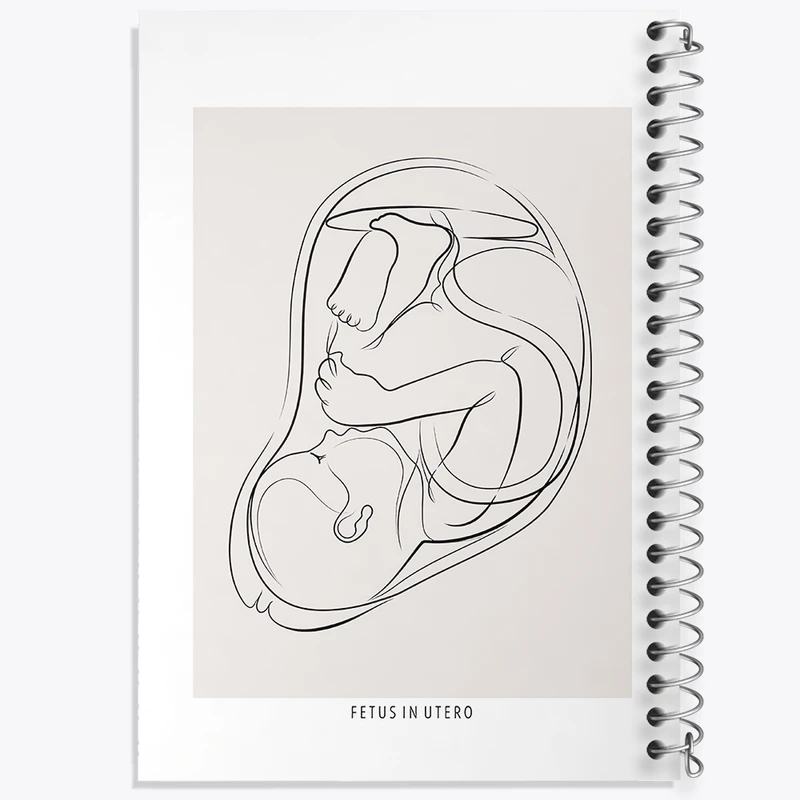دفتر مشق 50 برگ خندالو طرح جنین (Fetus In Utero) کد F13935