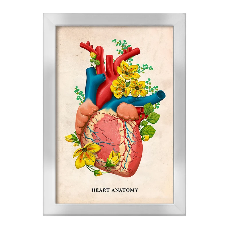 تابلو خندالو طرح آناتومی قلب (Heart Anatomy) کد F14016