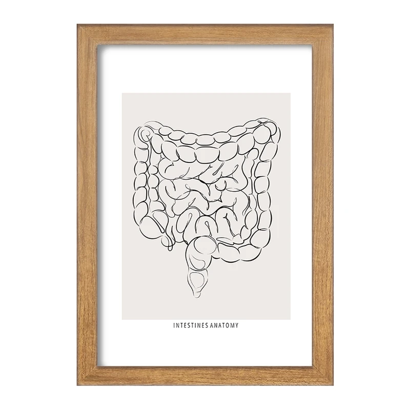 تابلو خندالو طرح آناتومی روده (Intestines Anatomy) کد F13933