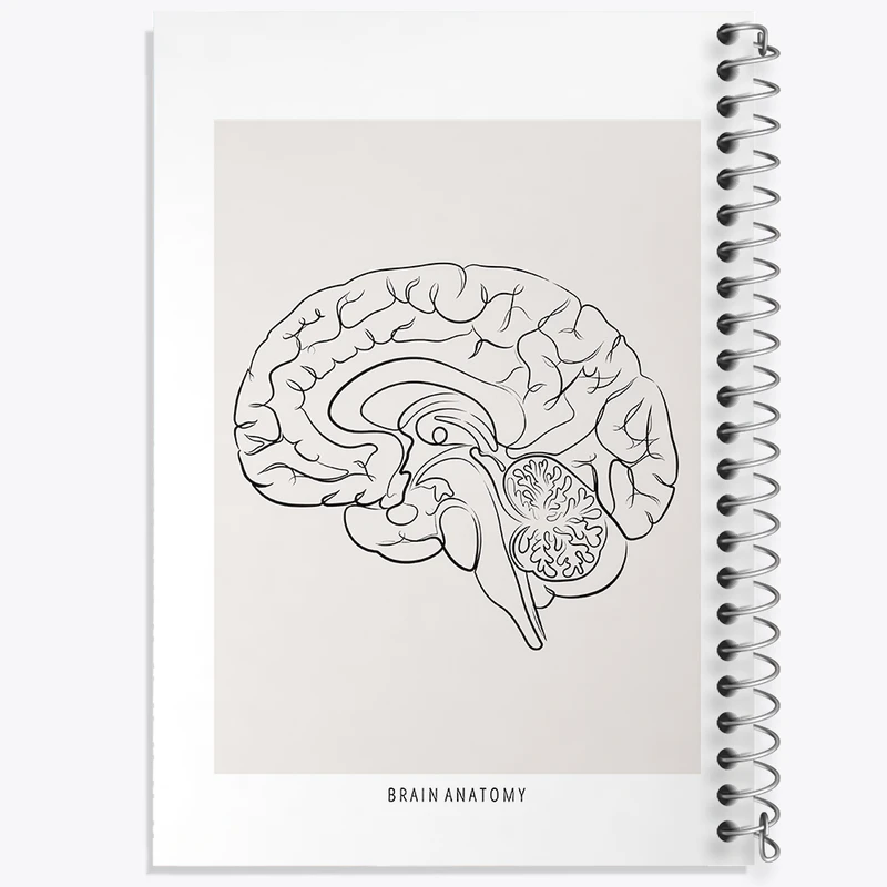 دفتر مشق 100 برگ خندالو طرح آناتومی مغز کد F13891