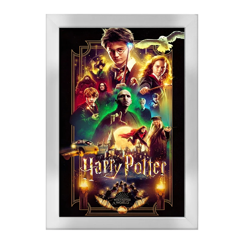 تابلو خندالو طرح هری پاتر (Harry Potter) کد F10009