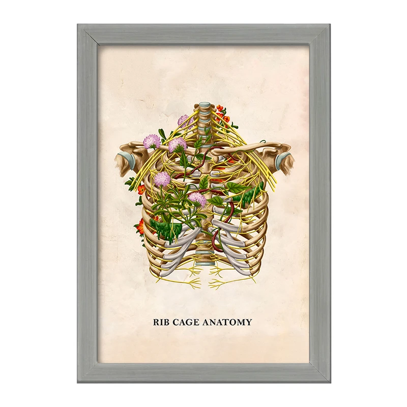 تابلو خندالو طرح آناتومی قفسه سینه (Rib Cage Anatomy) کد F13995
