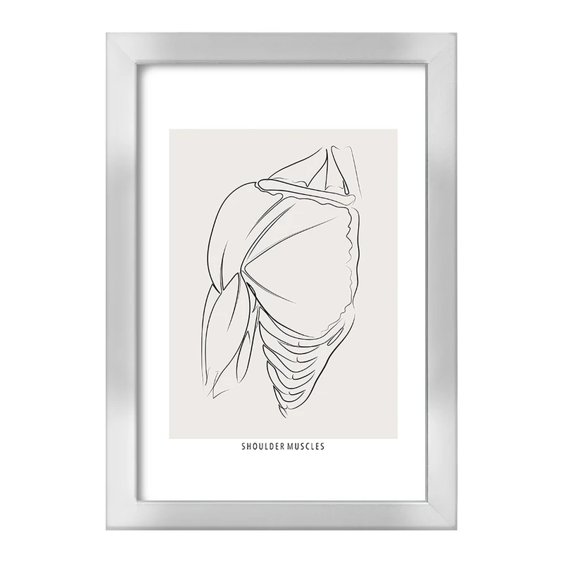 تابلو خندالو طرح عضلات شانه (Shoulder Muscles) کد F13927