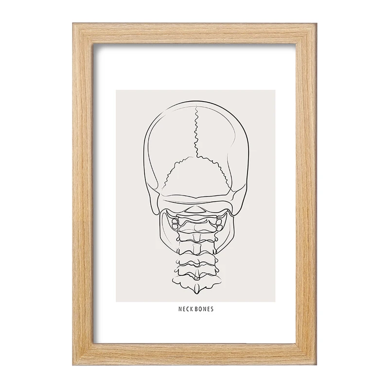 تابلو خندالو طرح آناتومی اسکلت سر از پشت کد F13895