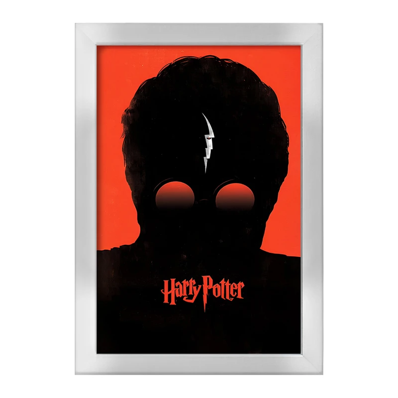 تابلو خندالو طرح هری پاتر (Harry Potter) کد F10160