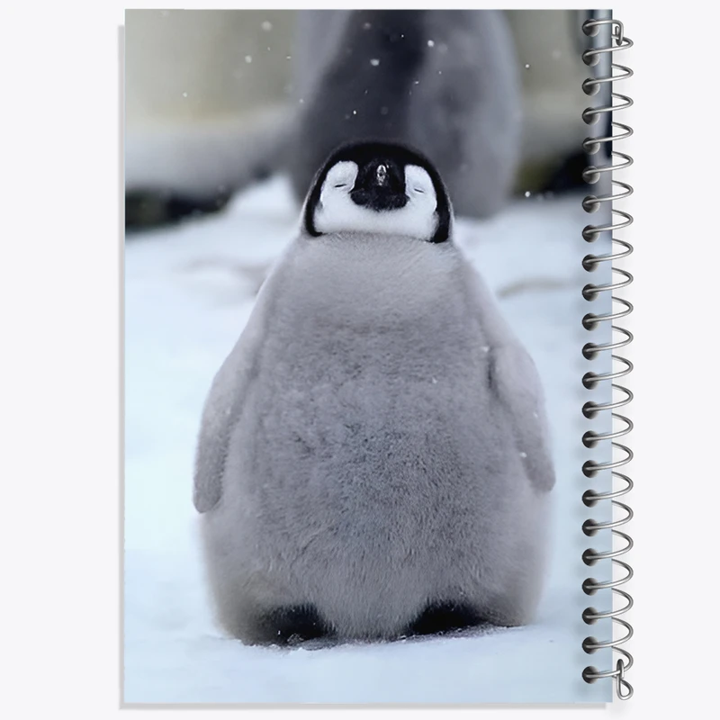 دفتر نقاشی 50 برگ خندالو طرح پنگوئن کد F11104