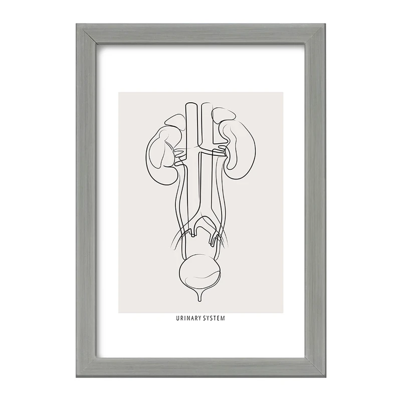 تابلو خندالو طرح سیستم ادراری (Urinary System) کد F13934