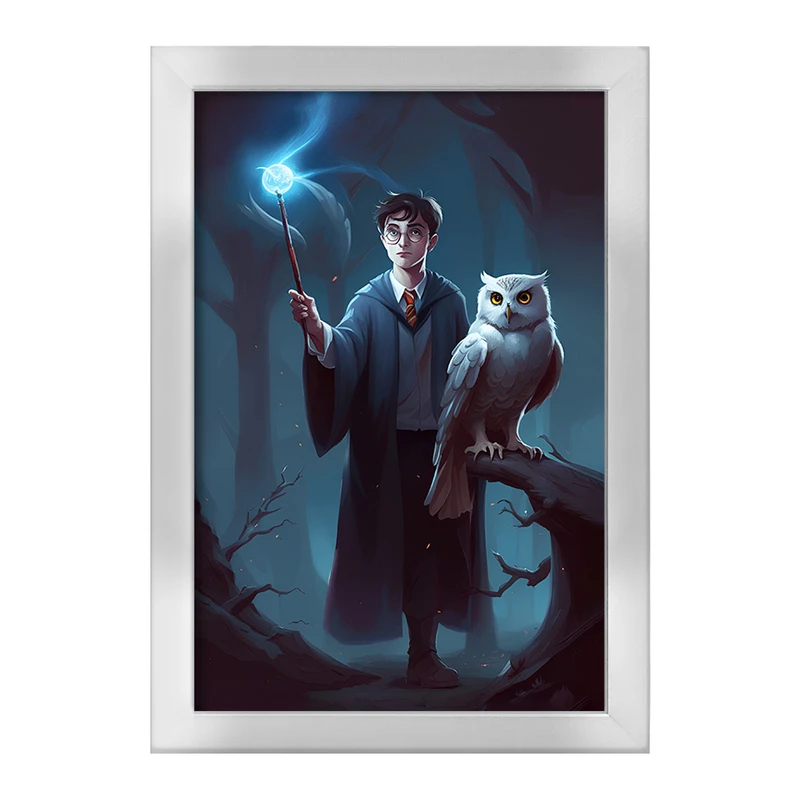 تابلو خندالو طرح هری پاتر (Harry Potter) کد F2456