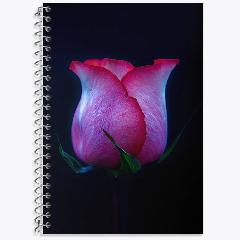 دفتر زبان 50 برگ خندالو مدل دو خط طرح گل رز کد F12013