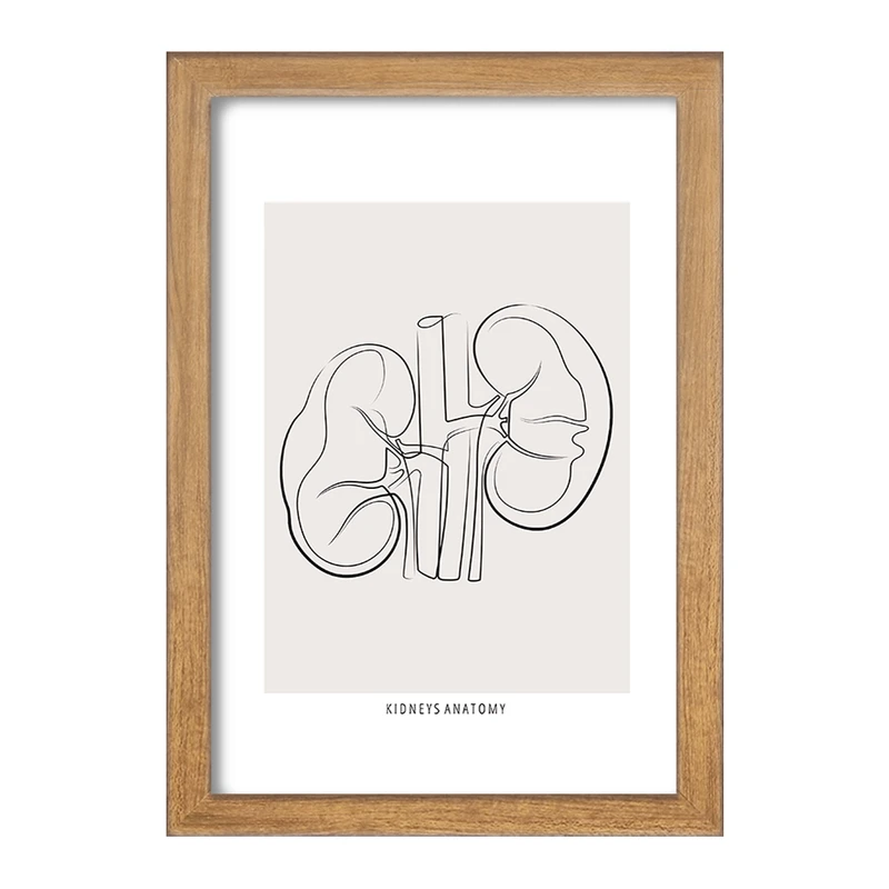 تابلو خندالو طرح آناتومی کلیه ها (kidneys Anatomy) کد F13901