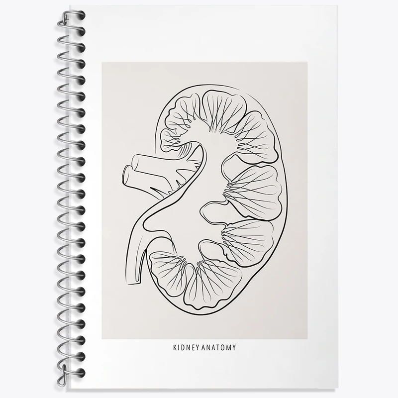 دفتر زبان 50 برگ خندالو مدل سه خط طرح آناتومی کلیه (kidney Anatomy) کد F13903