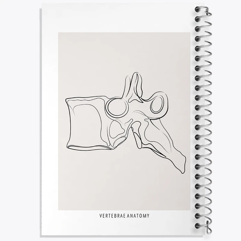دفتر مشق 50 برگ خندالو طرح آناتومی مهره ها (Vertebrae Anatomy) کد F13911