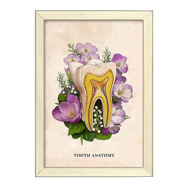 تابلو خندالو طرح آناتومی دندان (Tooth Anatomy) کد F14018