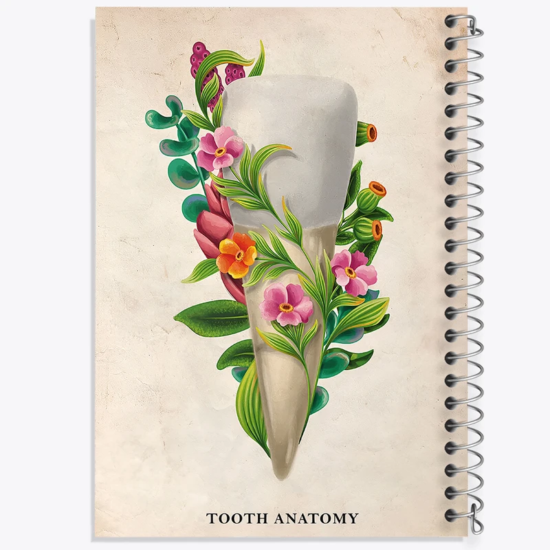 دفتر مشق 50 برگ خندالو طرح آناتومی دندان (Tooth Anatomy) کد F13982