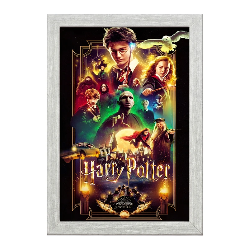 تابلو خندالو طرح هری پاتر (Harry Potter) کد F10009