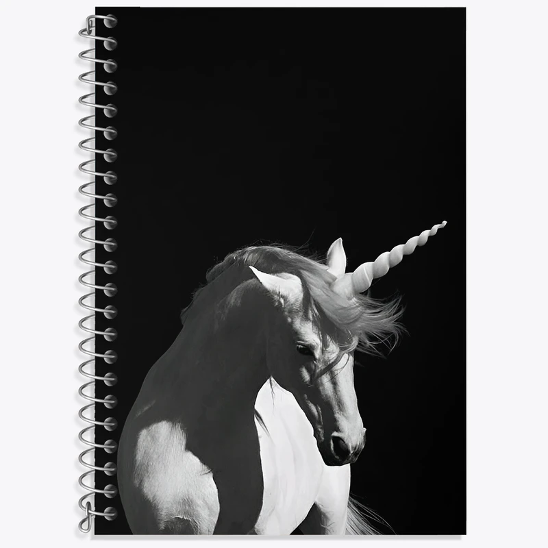 دفتر نت موسیقی 50 برگ خندالو طرح اسب تک شاخ کد F3864