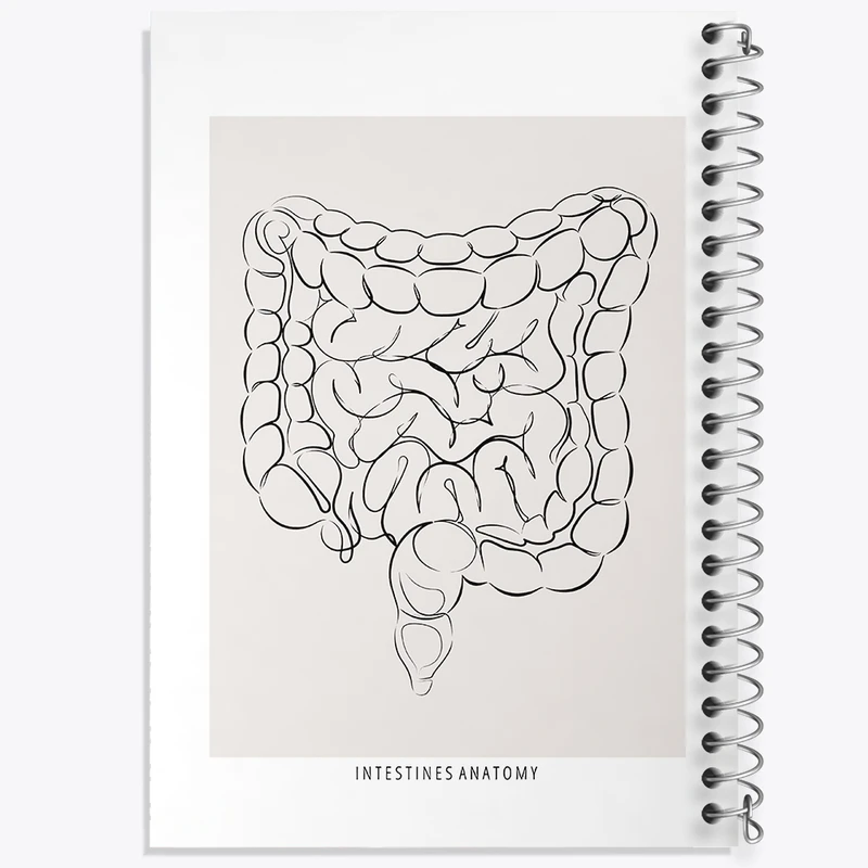 دفتر طراحی 50 برگ خندالو طرح آناتومی روده (Intestines Anatomy) کد F13933