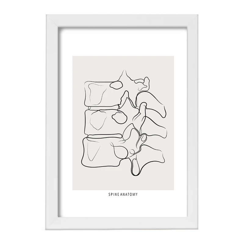 تابلو خندالو طرح آناتومی ستون فقرات (Spine Anatomy) کد F13910