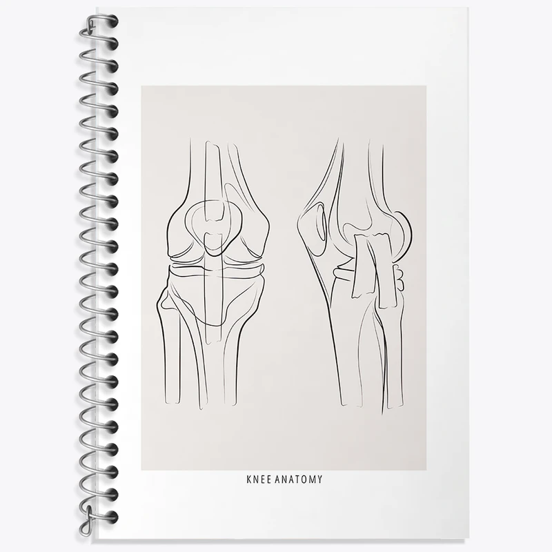 دفتر نت موسیقی 50 برگ خندالو طرح آناتومی زانو (knee Anatomy) کد F13916