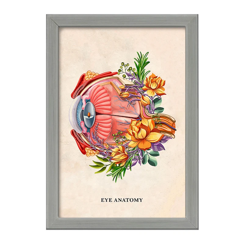 تابلو خندالو طرح آناتومی چشم (Eye Anatomy) کد F14014