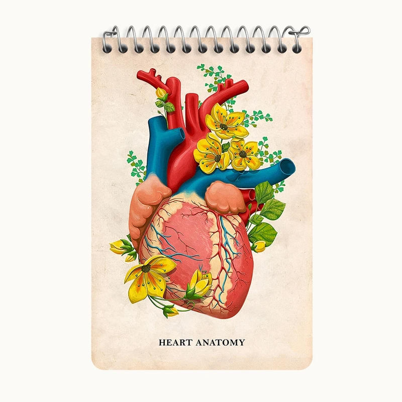 دفتر یادداشت 50 برگ خندالو طرح آناتومی قلب (Heart Anatomy) کد F14016