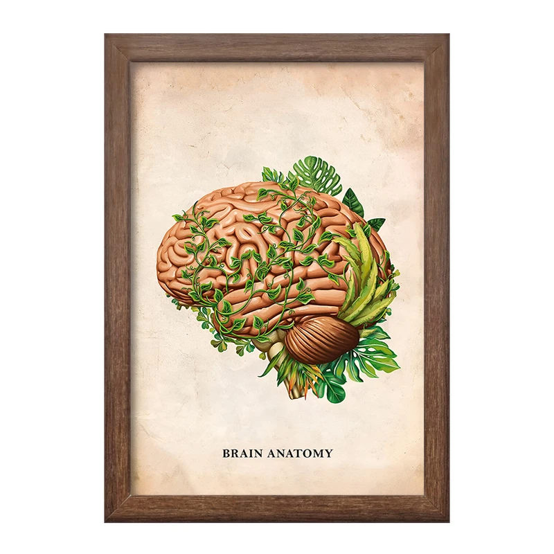 تابلو خندالو طرح آناتومی مغز (Brain Anatomy) کد F13984