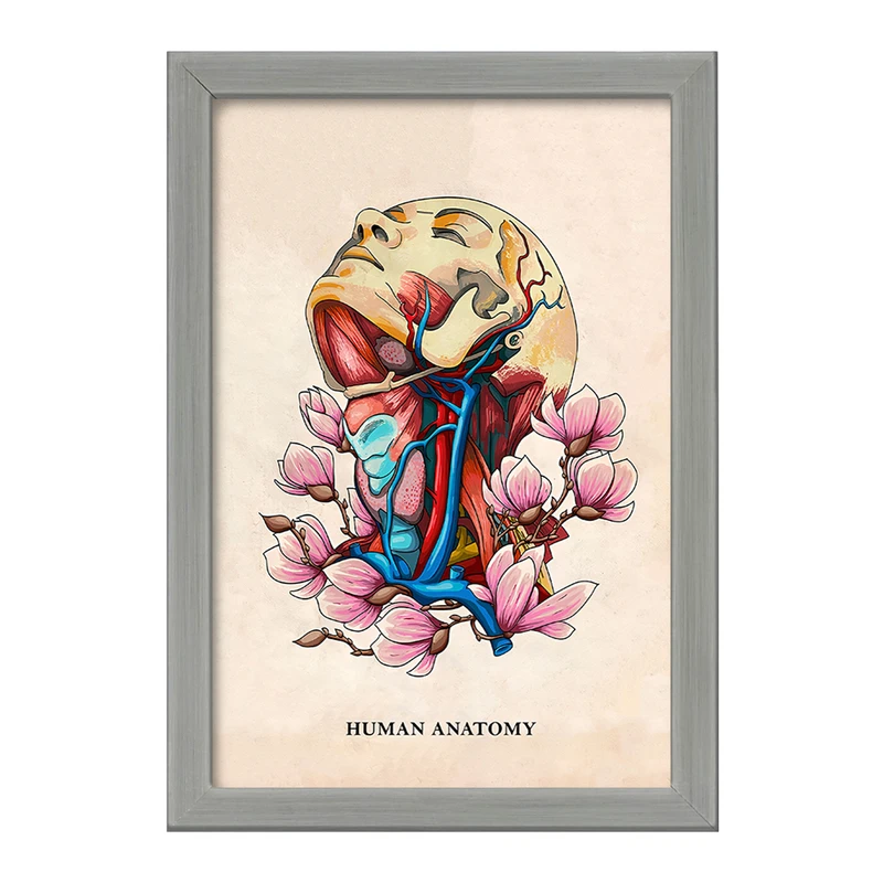 تابلو خندالو طرح آناتومی انسان (Human Anatomy) کد F14017