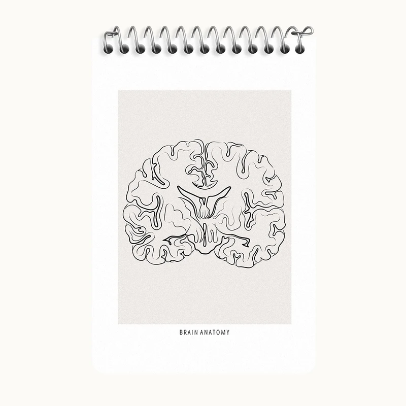 دفتر یادداشت 50 برگ خندالو طرح آناتومی مغز (Brain Anatomy) کد F13892