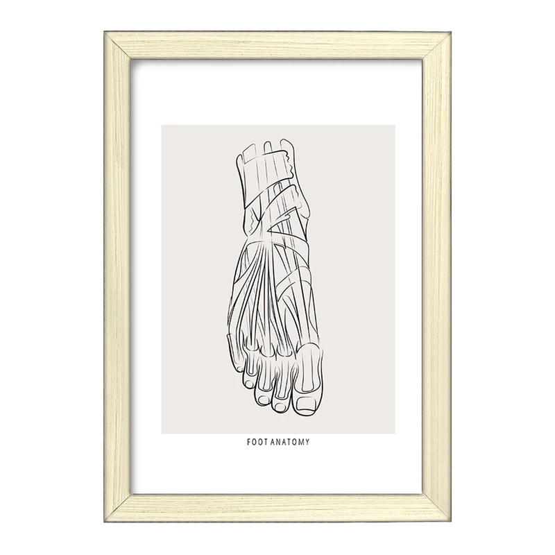 تابلو خندالو طرح آناتومی پا (Foot Anatomy) کد F13924