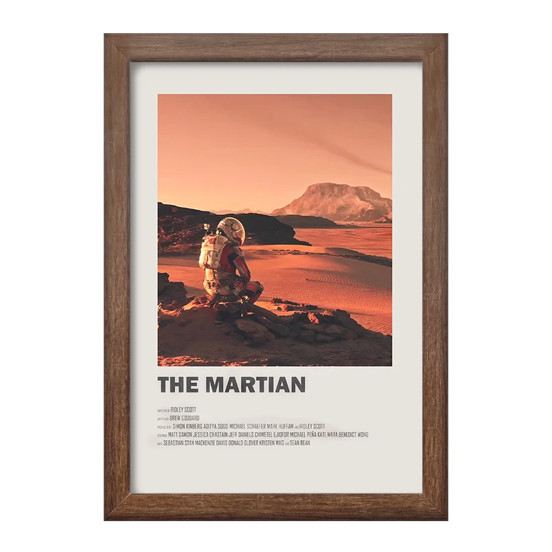 تابلو خندالو طرح مریخی (The Martian) کد F13279