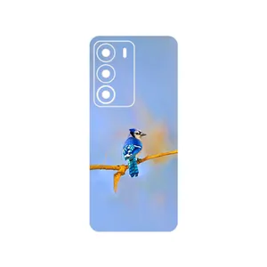 MAHOOT Cyanocitta cristata Cover Sticker for Realme C71