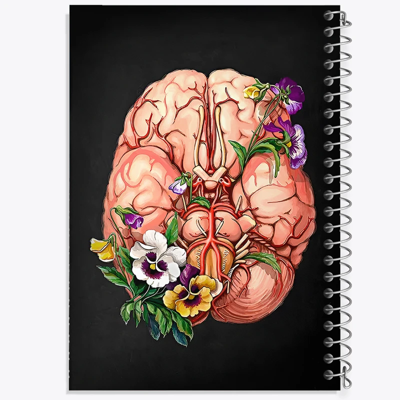 دفتر مشق 100 برگ خندالو طرح آناتومی مغز (Brain Anatomy) کد F14048
