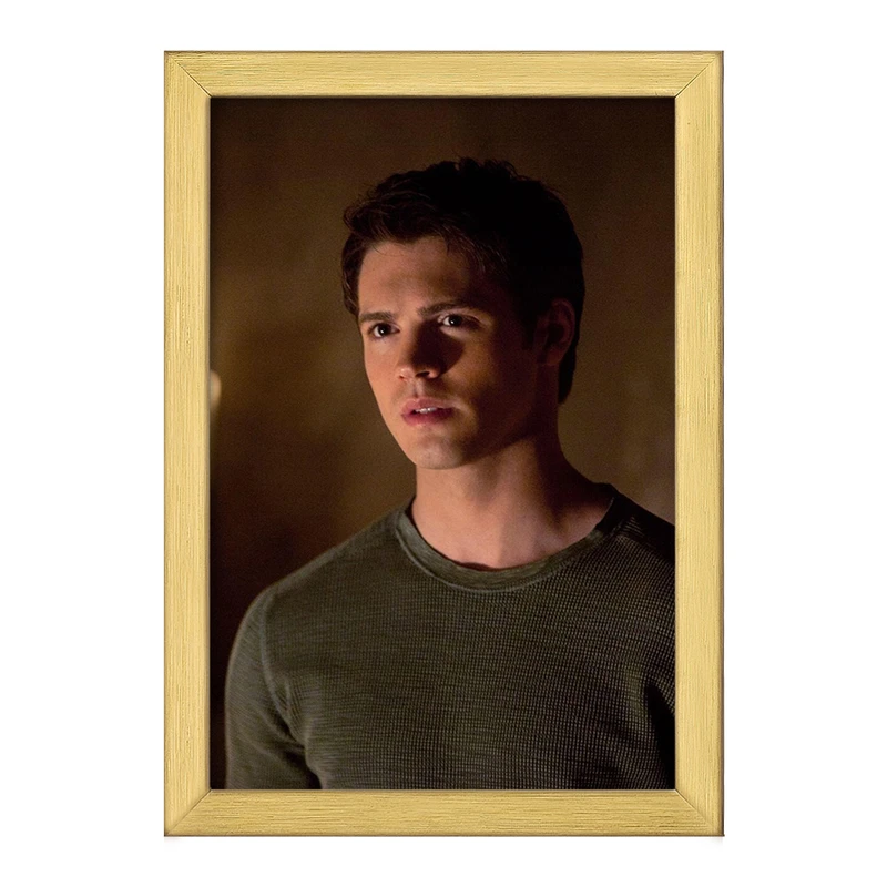 تابلو خندالو طرح جرمی گیلبرت خاطرات یک خون آشام  The Vampire Diaries  کد 23684