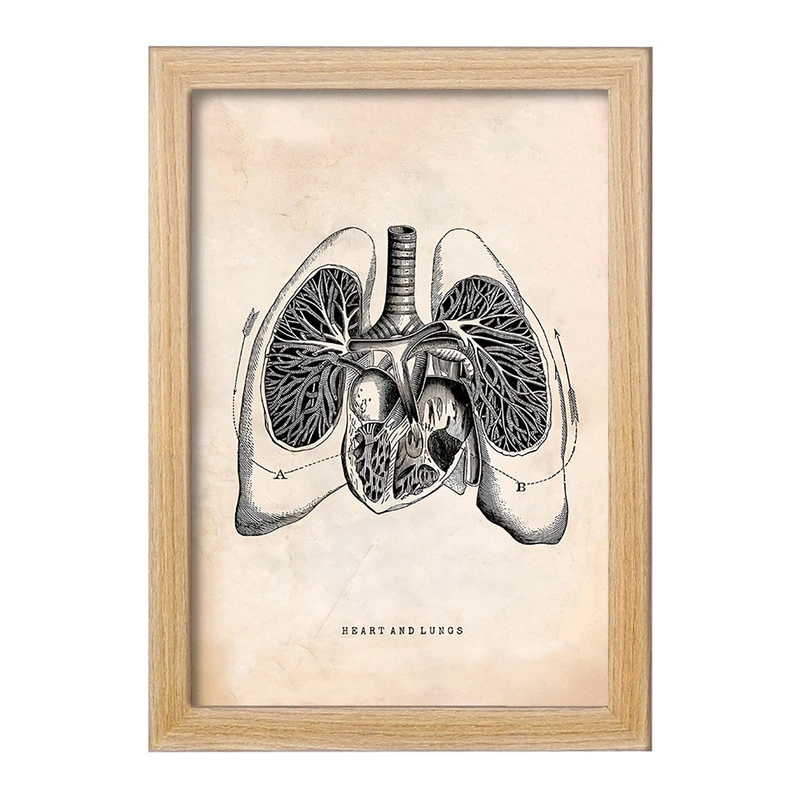 تابلو خندالو طرح آناتومی قلب (Heart Anatomy) کد F13952