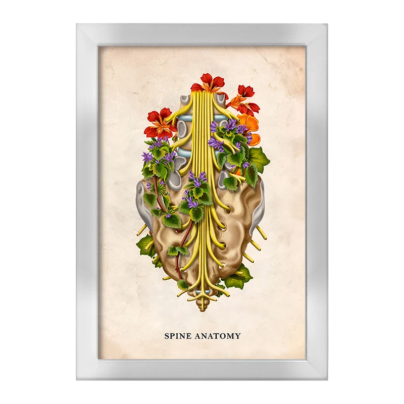 تابلو خندالو طرح آناتومی ستون فقرات (Spine Anatomy) کد F13983