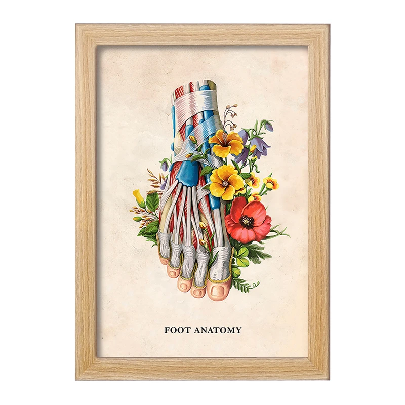 تابلو خندالو طرح آناتومی پا (Foot Anatomy) کد F14013