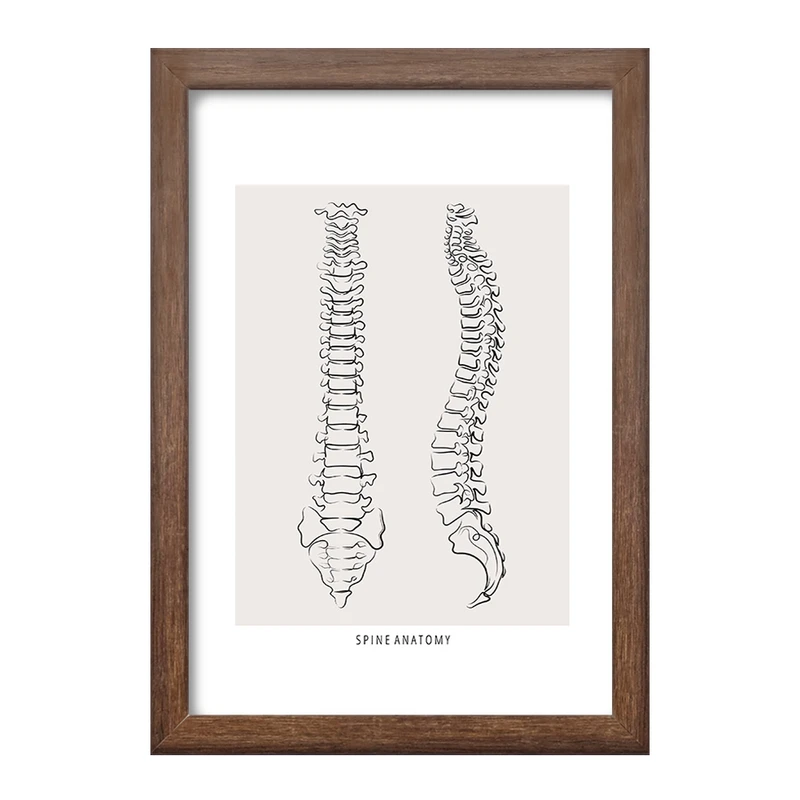 تابلو خندالو طرح آناتومی ستون فقرات (Spine Anatomy) کد F13909