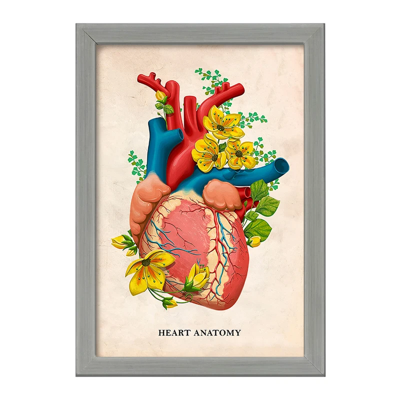 تابلو خندالو طرح آناتومی قلب (Heart Anatomy) کد F14016