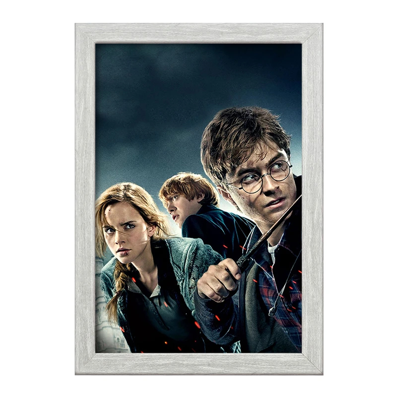 تابلو خندالو طرح رون و هرمیون و هری پاتر Harry Potter  کد 2915